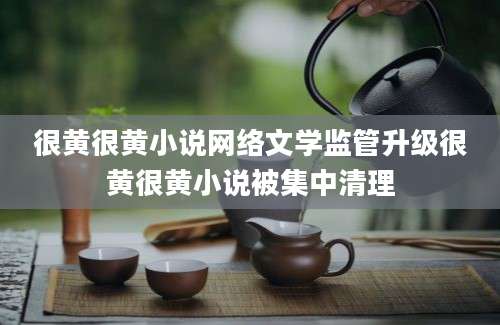 很黄很黄小说网络文学监管升级很黄很黄小说被集中清理