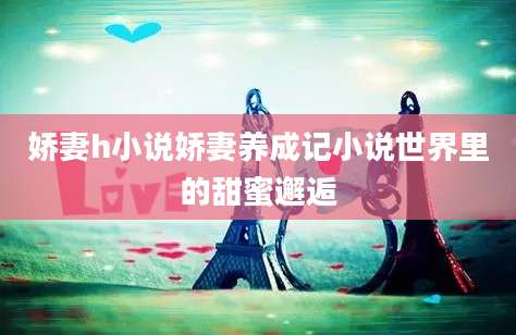 娇妻h小说娇妻养成记小说世界里的甜蜜邂逅