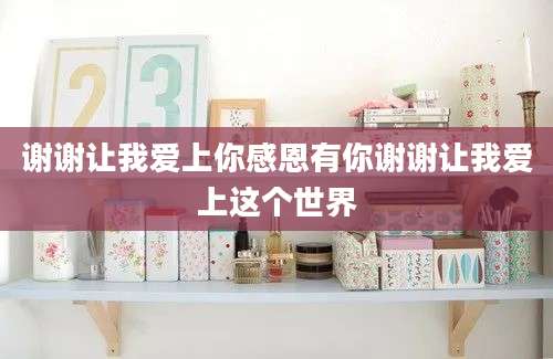 谢谢让我爱上你感恩有你谢谢让我爱上这个世界