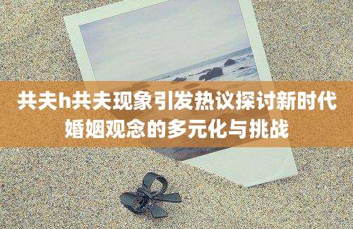 共夫h共夫现象引发热议探讨新时代婚姻观念的多元化与挑战