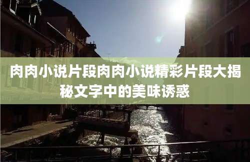 肉肉小说片段肉肉小说精彩片段大揭秘文字中的美味诱惑
