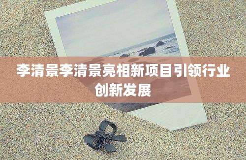 李清景李清景亮相新项目引领行业创新发展