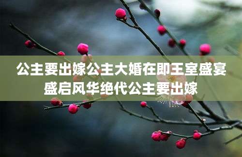 公主要出嫁公主大婚在即王室盛宴盛启风华绝代公主要出嫁