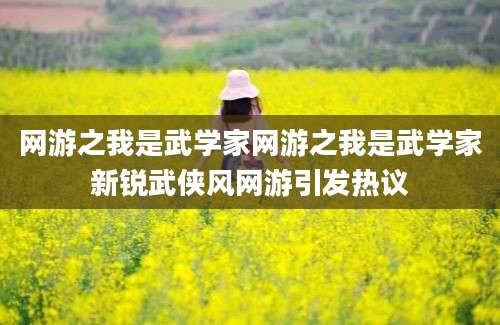 网游之我是武学家网游之我是武学家新锐武侠风网游引发热议