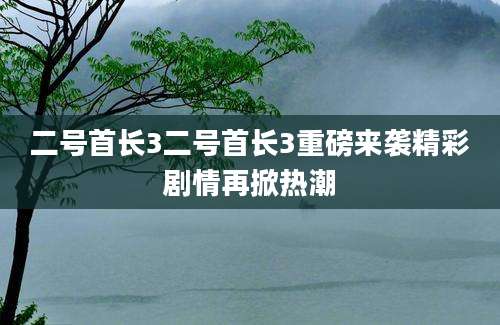 二号首长3二号首长3重磅来袭精彩剧情再掀热潮