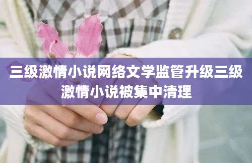 三级激情小说网络文学监管升级三级激情小说被集中清理