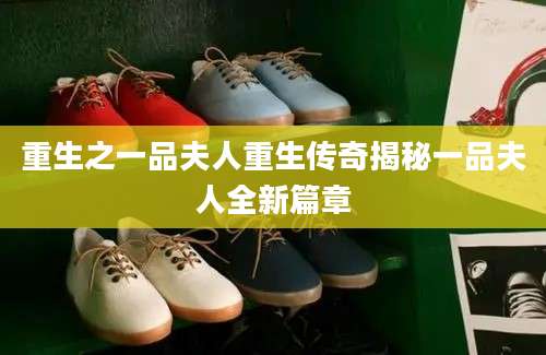 重生之一品夫人重生传奇揭秘一品夫人全新篇章