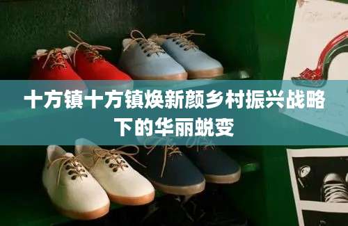 十方镇十方镇焕新颜乡村振兴战略下的华丽蜕变
