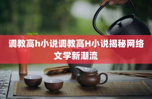 调教高h小说调教高H小说揭秘网络文学新潮流