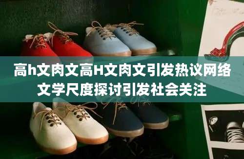 高h文肉文高H文肉文引发热议网络文学尺度探讨引发社会关注