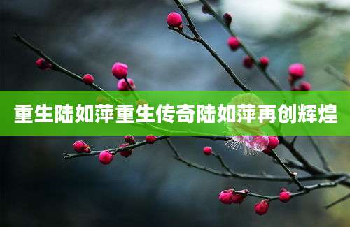 重生陆如萍重生传奇陆如萍再创辉煌