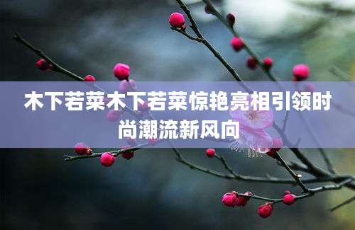 木下若菜木下若菜惊艳亮相引领时尚潮流新风向