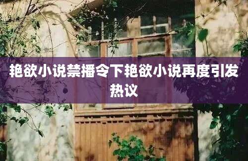 艳欲小说禁播令下艳欲小说再度引发热议