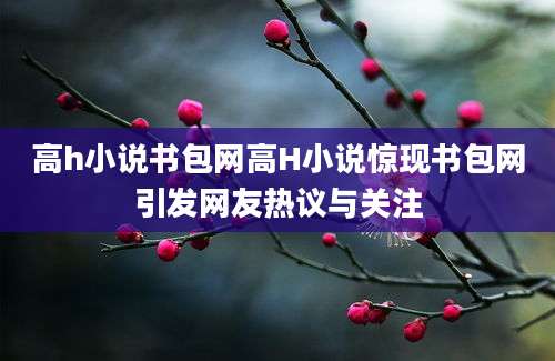 高h小说书包网高H小说惊现书包网引发网友热议与关注