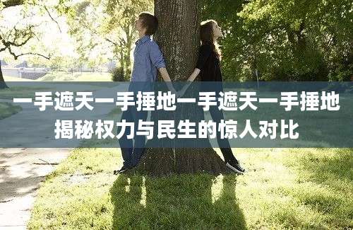 一手遮天一手捶地一手遮天一手捶地揭秘权力与民生的惊人对比