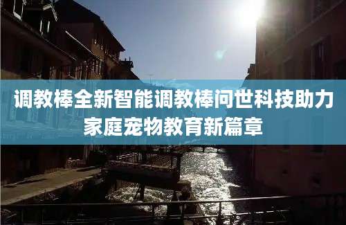 调教棒全新智能调教棒问世科技助力家庭宠物教育新篇章