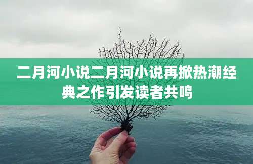 二月河小说二月河小说再掀热潮经典之作引发读者共鸣