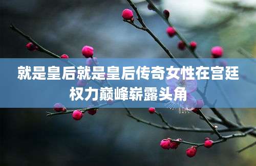 就是皇后就是皇后传奇女性在宫廷权力巅峰崭露头角