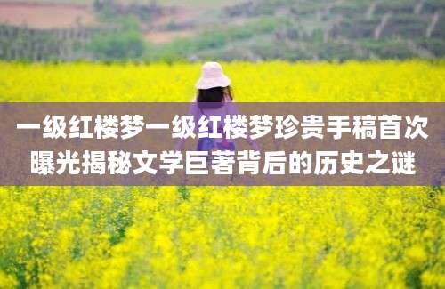一级红楼梦一级红楼梦珍贵手稿首次曝光揭秘文学巨著背后的历史之谜