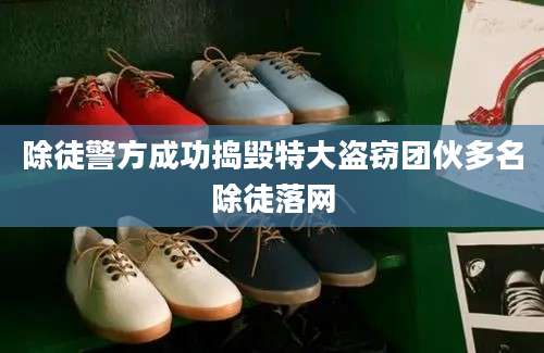 除徒警方成功捣毁特大盗窃团伙多名除徒落网