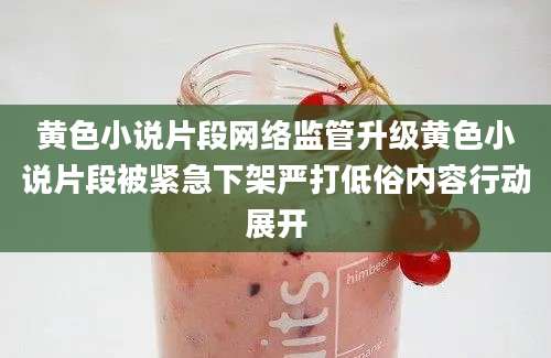 黄色小说片段网络监管升级黄色小说片段被紧急下架严打低俗内容行动展开