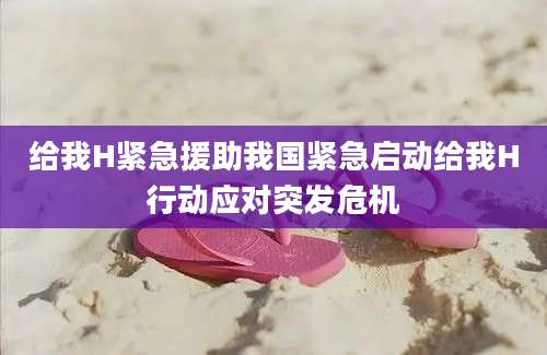 给我H紧急援助我国紧急启动给我H行动应对突发危机