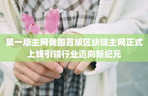 第一版主网我国首版区块链主网正式上线引领行业迈向新纪元