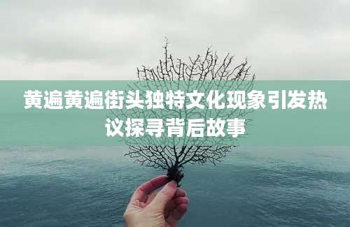 黄遍黄遍街头独特文化现象引发热议探寻背后故事