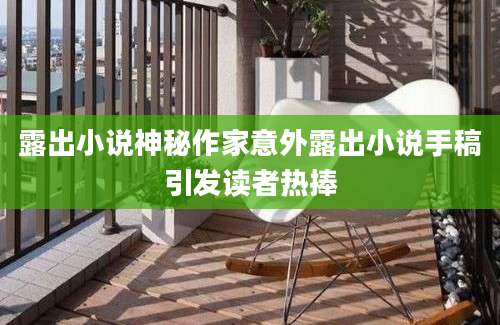 露出小说神秘作家意外露出小说手稿引发读者热捧