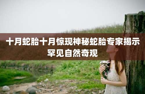 十月蛇胎十月惊现神秘蛇胎专家揭示罕见自然奇观