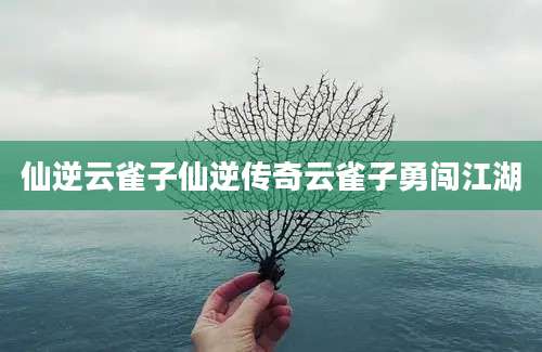 仙逆云雀子仙逆传奇云雀子勇闯江湖