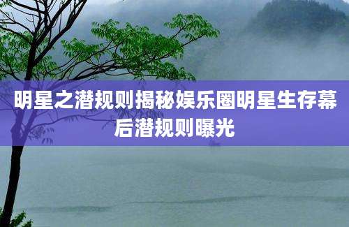 明星之潜规则揭秘娱乐圈明星生存幕后潜规则曝光
