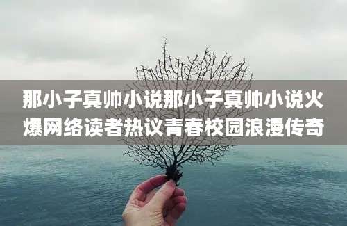 那小子真帅小说那小子真帅小说火爆网络读者热议青春校园浪漫传奇