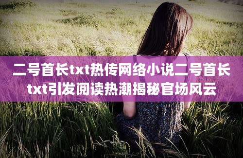 二号首长txt热传网络小说二号首长txt引发阅读热潮揭秘官场风云