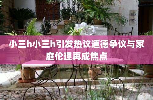 小三h小三h引发热议道德争议与家庭伦理再成焦点