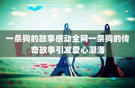一条狗的故事感动全网一条狗的传奇故事引发爱心潮涌