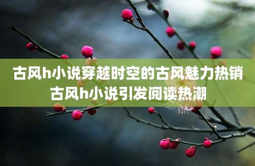 古风h小说穿越时空的古风魅力热销古风h小说引发阅读热潮