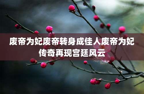 废帝为妃废帝转身成佳人废帝为妃传奇再现宫廷风云