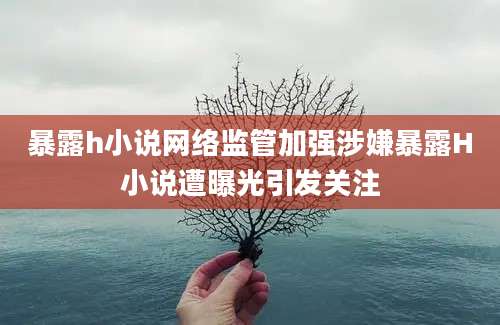 暴露h小说网络监管加强涉嫌暴露H小说遭曝光引发关注
