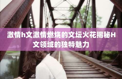 激情h文激情燃烧的文坛火花揭秘H文领域的独特魅力