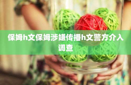 保姆h文保姆涉嫌传播h文警方介入调查