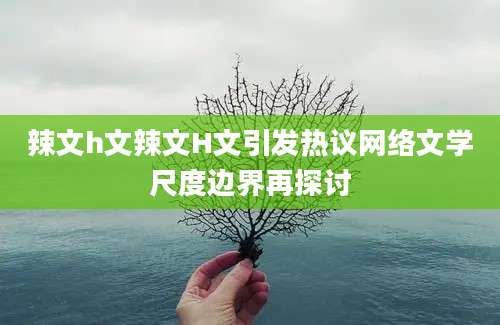 辣文h文辣文H文引发热议网络文学尺度边界再探讨