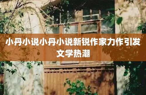 小丹小说小丹小说新锐作家力作引发文学热潮