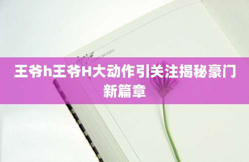 王爷h王爷H大动作引关注揭秘豪门新篇章