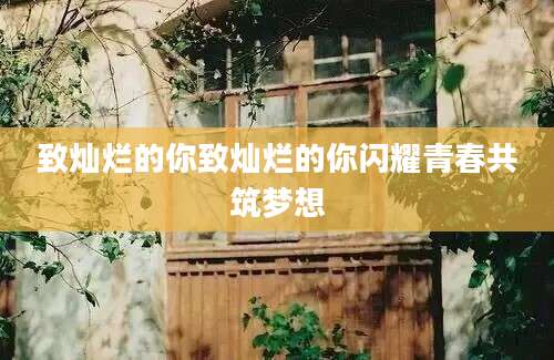 致灿烂的你致灿烂的你闪耀青春共筑梦想
