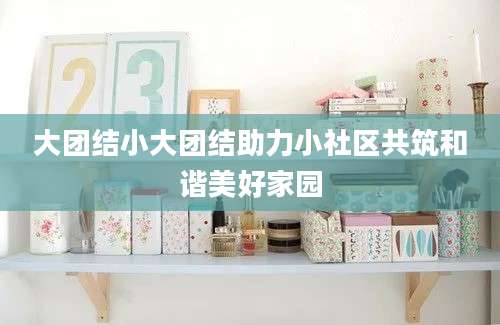大团结小大团结助力小社区共筑和谐美好家园