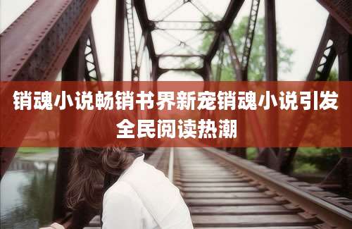 销魂小说畅销书界新宠销魂小说引发全民阅读热潮