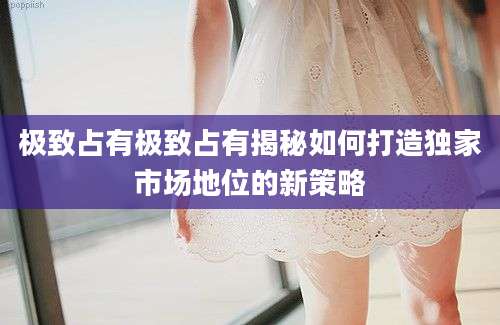 极致占有极致占有揭秘如何打造独家市场地位的新策略