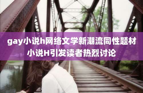 gay小说h网络文学新潮流同性题材小说H引发读者热烈讨论