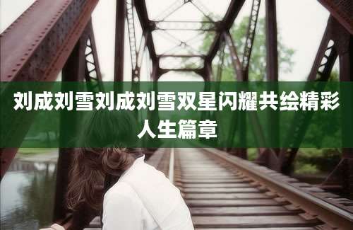 刘成刘雪刘成刘雪双星闪耀共绘精彩人生篇章